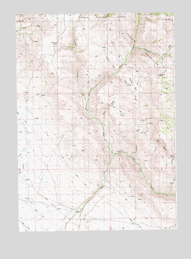 Syrup Creek, ID USGS Topographic Map