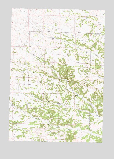 Taintor Desert, MT USGS Topographic Map