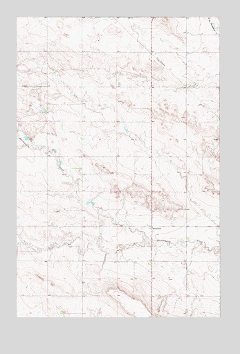 Bloomfield, MT USGS Topographic Map