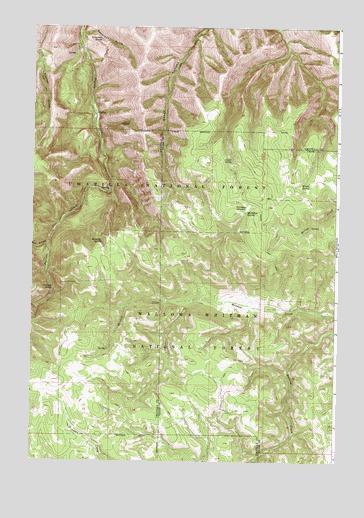 Tamarack Gulch, OR USGS Topographic Map