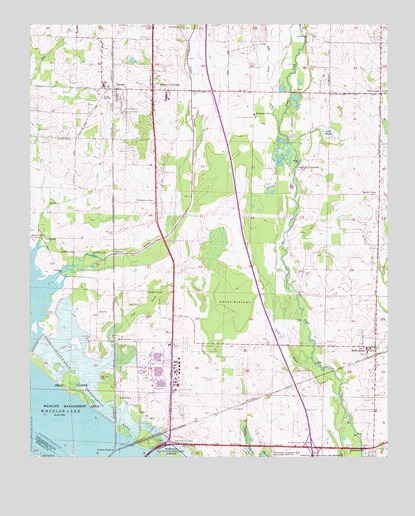 Tanner, AL USGS Topographic Map