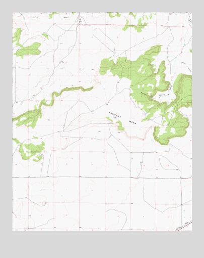 Tapia Ranch, NM USGS Topographic Map