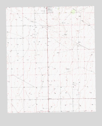 Tatum South, NM USGS Topographic Map