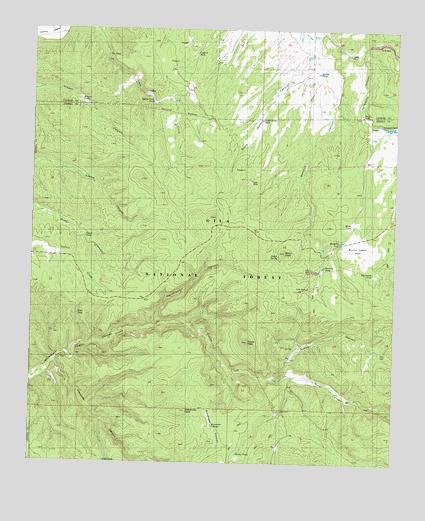 Taylor Peak, NM USGS Topographic Map