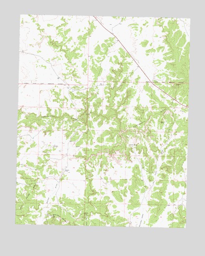 Taylor Ranch, NM USGS Topographic Map
