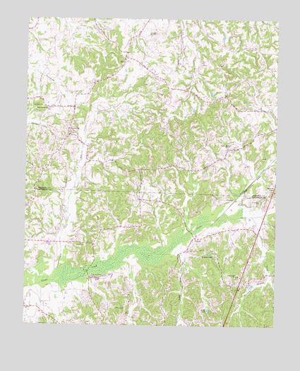 Teague, TN USGS Topographic Map