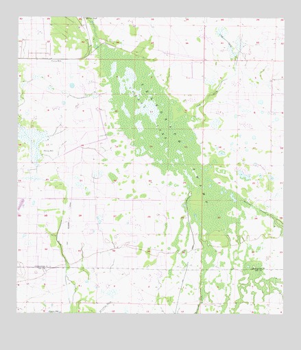 Telegraph Swamp, FL USGS Topographic Map