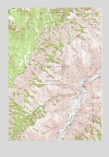 Temperance Creek, OR USGS Topographic Map