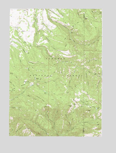 Temple Peak, ID USGS Topographic Map