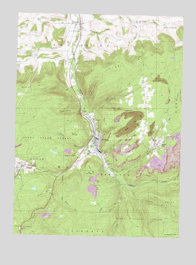 Blossburg, PA USGS Topographic Map