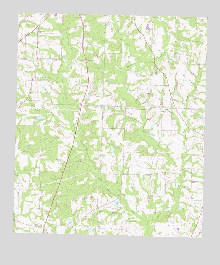 Tempy, GA USGS Topographic Map