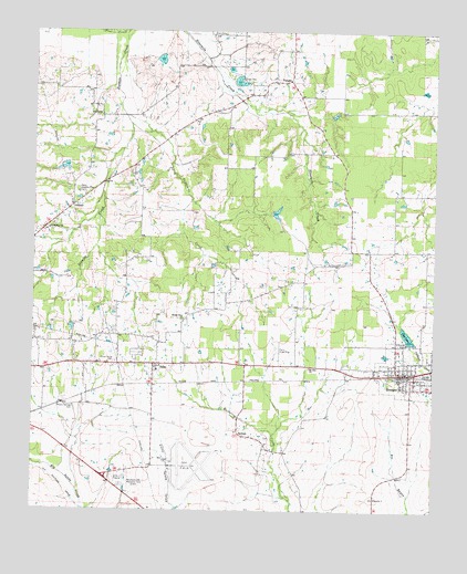 Blossom, TX USGS Topographic Map