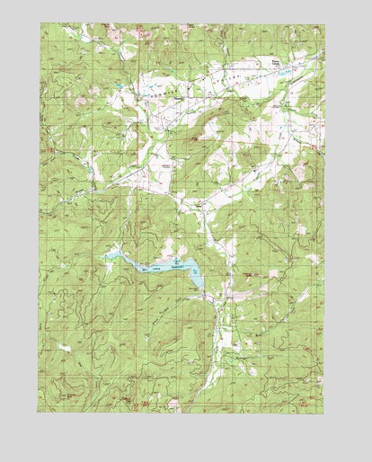 Tenmile, OR USGS Topographic Map