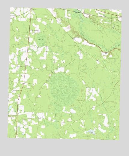 Tenmile Bay, GA USGS Topographic Map