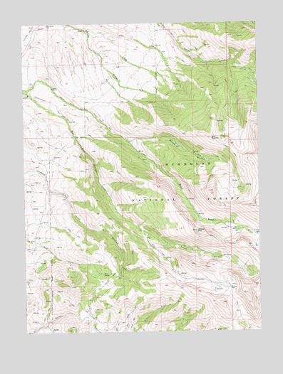 Tent Mountain, NV USGS Topographic Map