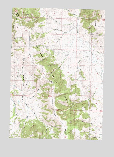 Tepee Mountain, MT USGS Topographic Map