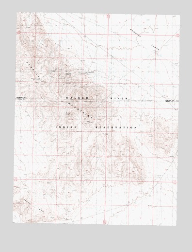 Terrill Mountains, NV USGS Topographic Map