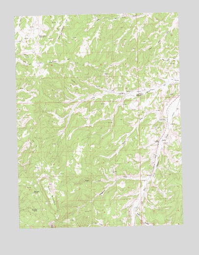 Texas Mountain, CO USGS Topographic Map