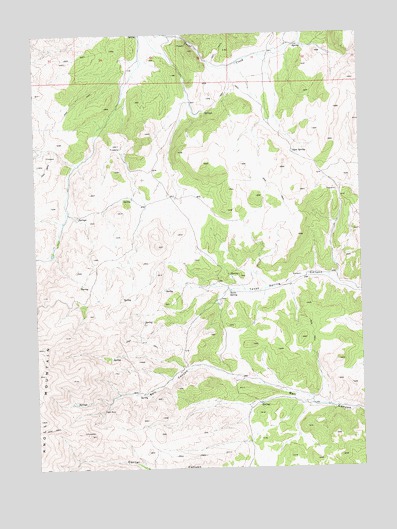 Texas Spring, NV USGS Topographic Map