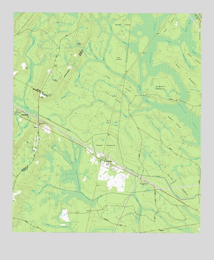 Thalmann, GA USGS Topographic Map