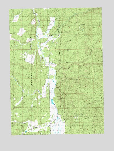 The Bull Pasture, OR USGS Topographic Map