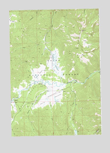 Blue Bunch Mountain, ID USGS Topographic Map