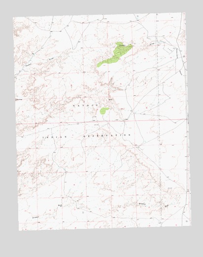 The Pillar, NM USGS Topographic Map