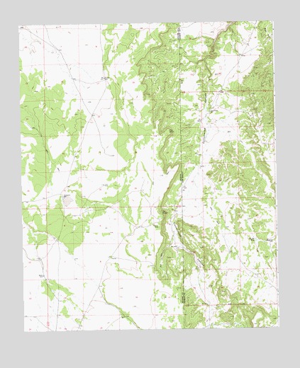 The Rincon, AZ USGS Topographic Map