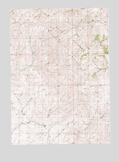 The Roost, ID USGS Topographic Map