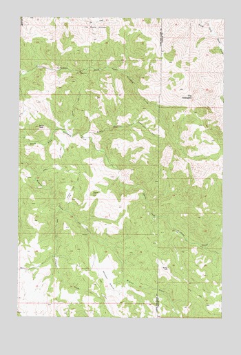 The Sawteeth, MT USGS Topographic Map