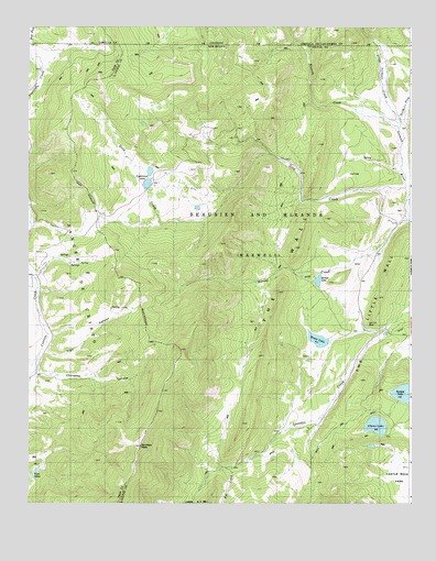 The Wall, NM USGS Topographic Map