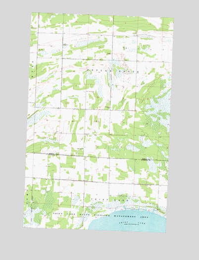Thief Lake, MN USGS Topographic Map