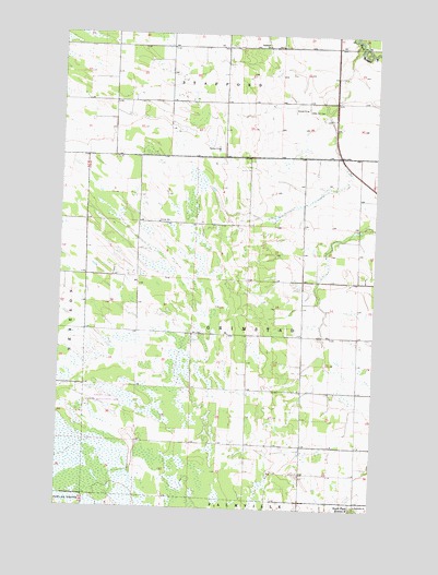 Thief Lake NE, MN USGS Topographic Map