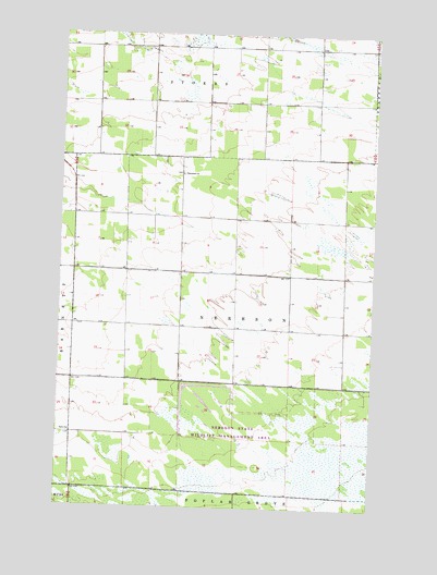 Thief Lake NW, MN USGS Topographic Map
