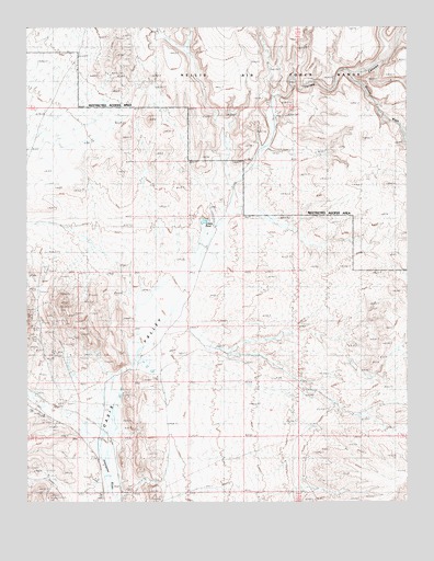 Thirsty Canyon SW, NV USGS Topographic Map