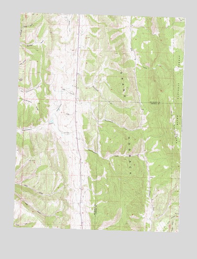 Thirteenmile Creek, CO USGS Topographic Map