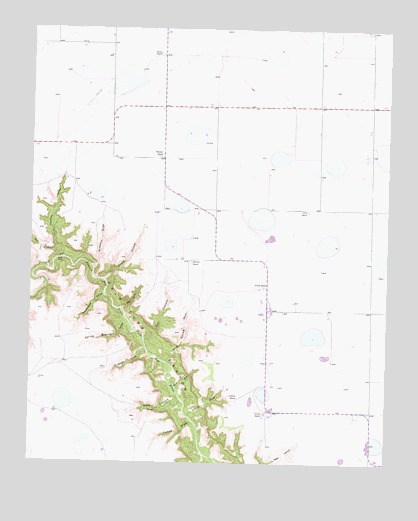 Thomas Ranch, TX USGS Topographic Map