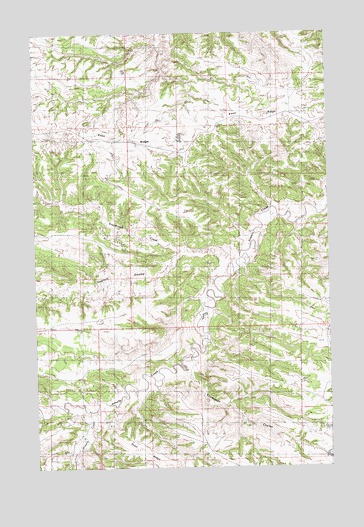 Thompson Coulee, MT USGS Topographic Map
