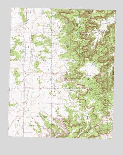 Thompson Mesa, NM USGS Topographic Map