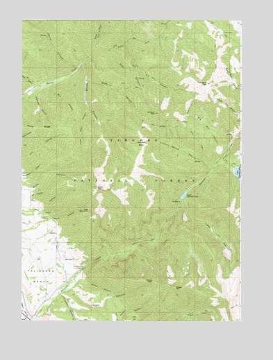 Thompson Peak, ID USGS Topographic Map
