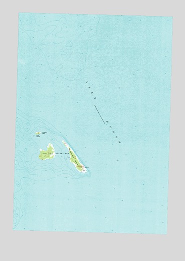 Thunder Bay Island, MI USGS Topographic Map