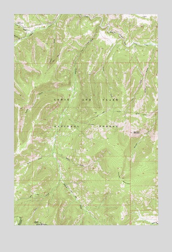 Thunder Mountain, MT USGS Topographic Map