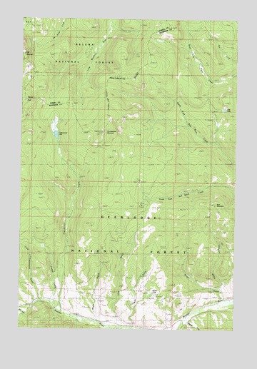 Thunderbolt Creek, MT USGS Topographic Map