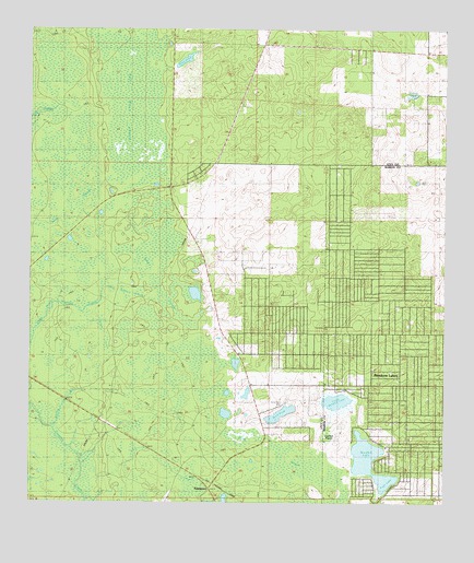 Tidewater, FL USGS Topographic Map