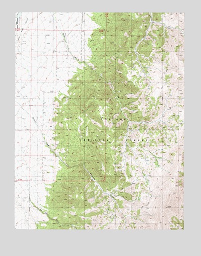 Tierney Creek, NV USGS Topographic Map