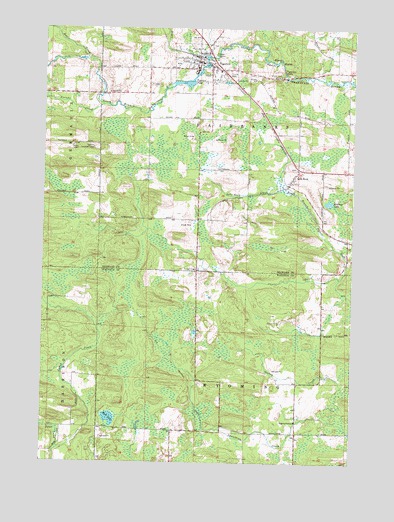 Tigerton, WI USGS Topographic Map