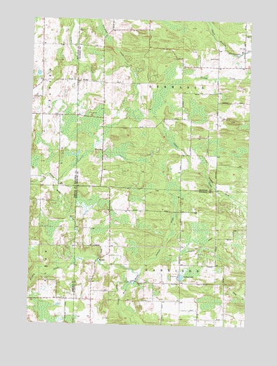 Tigerton NW, WI USGS Topographic Map