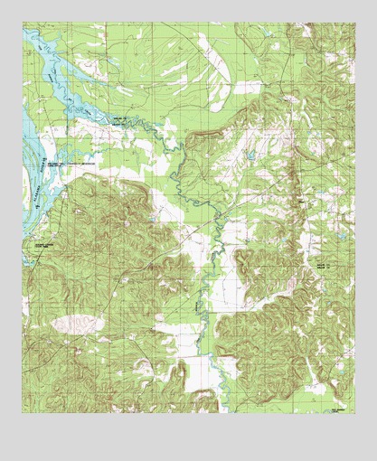 Tilden, AL USGS Topographic Map