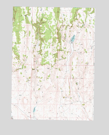 Tin Can Ridge, OR USGS Topographic Map