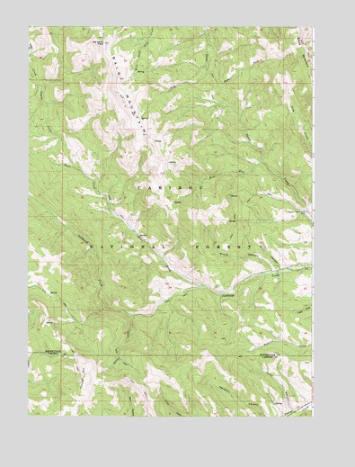 Tincup Mountain, ID USGS Topographic Map